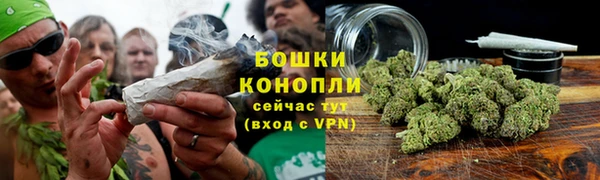 MESCALINE Новозыбков